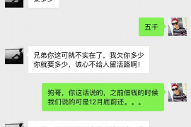 苍南贷款清欠服务